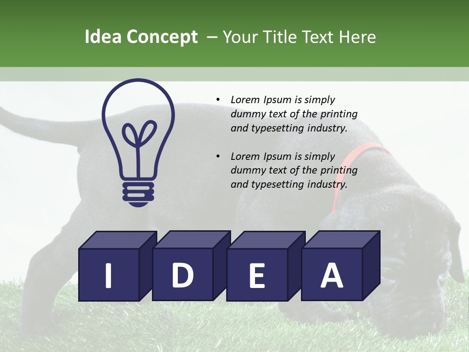 A Black Dog With A Red Collar Is Sniffing The Grass PowerPoint Template