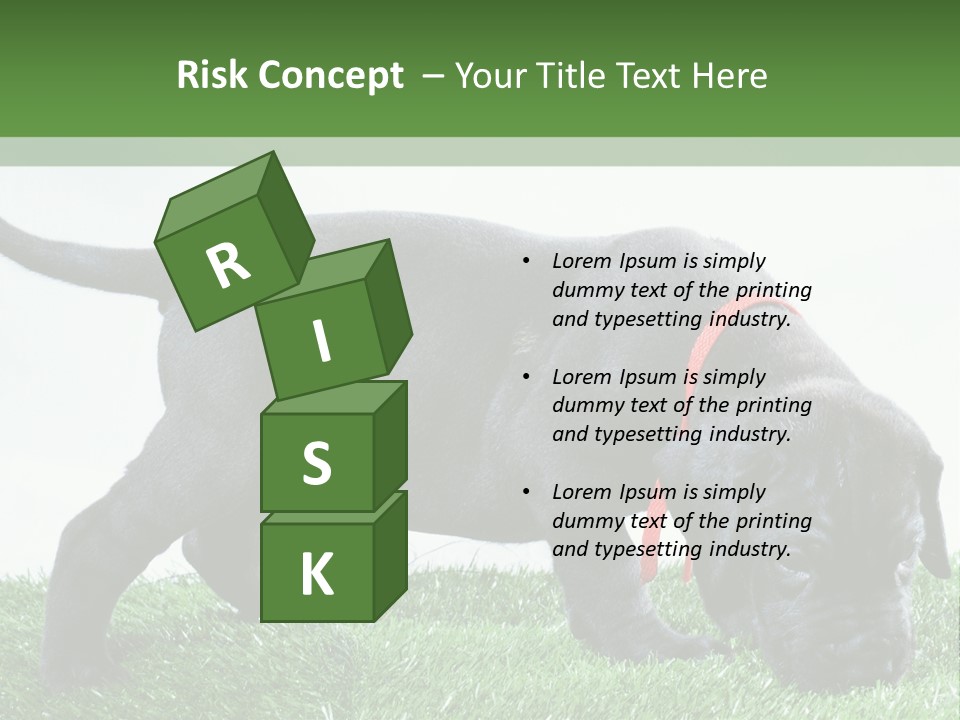 A Black Dog With A Red Collar Is Sniffing The Grass PowerPoint Template