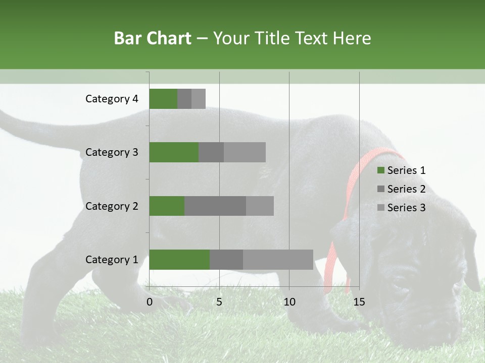 A Black Dog With A Red Collar Is Sniffing The Grass PowerPoint Template