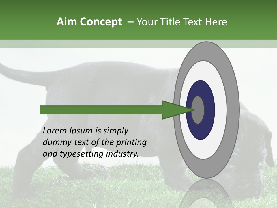 A Black Dog With A Red Collar Is Sniffing The Grass PowerPoint Template