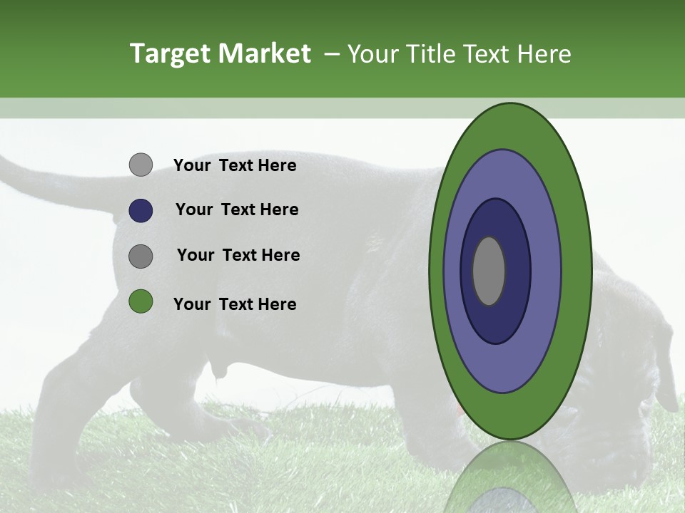 A Black Dog With A Red Collar Is Sniffing The Grass PowerPoint Template