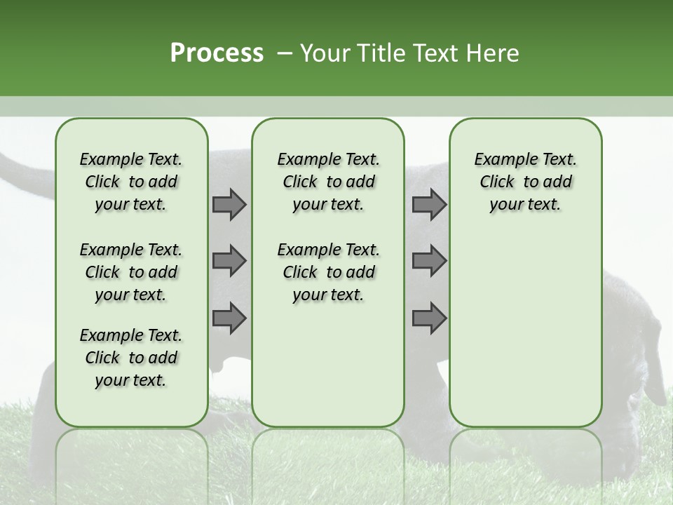 A Black Dog With A Red Collar Is Sniffing The Grass PowerPoint Template