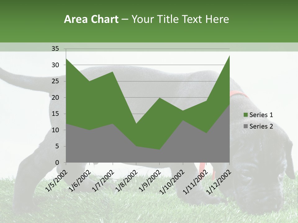 A Black Dog With A Red Collar Is Sniffing The Grass PowerPoint Template