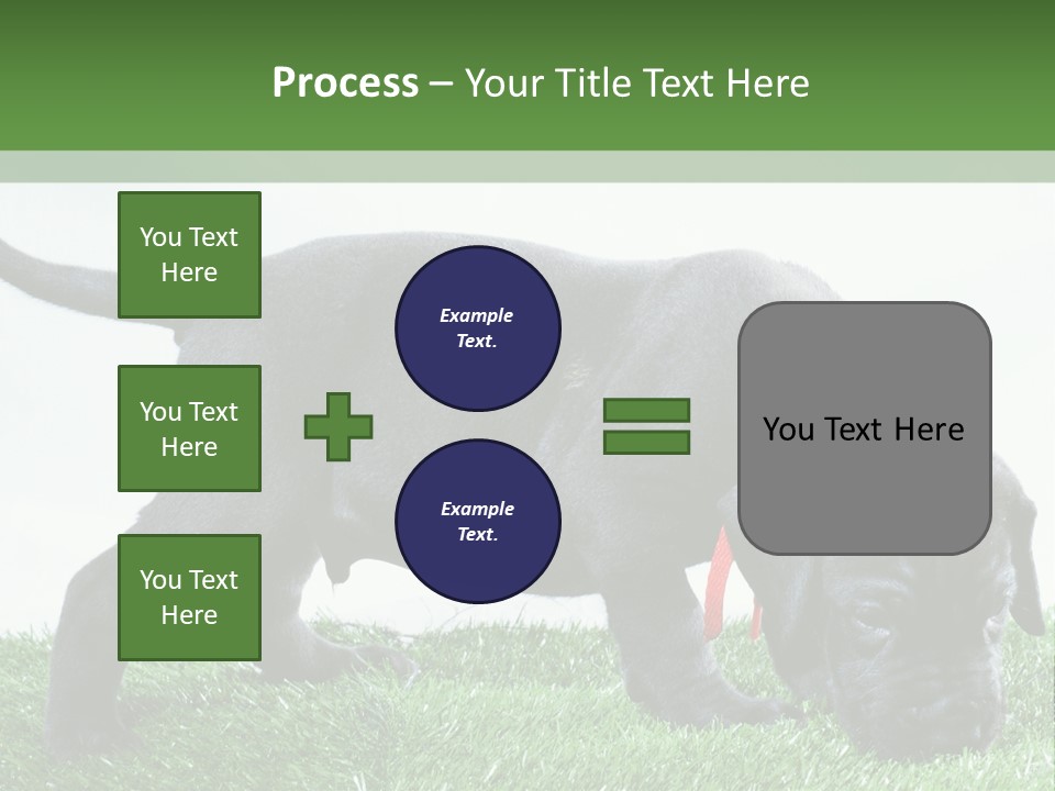 A Black Dog With A Red Collar Is Sniffing The Grass PowerPoint Template