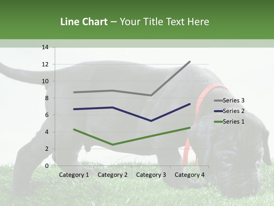 A Black Dog With A Red Collar Is Sniffing The Grass PowerPoint Template