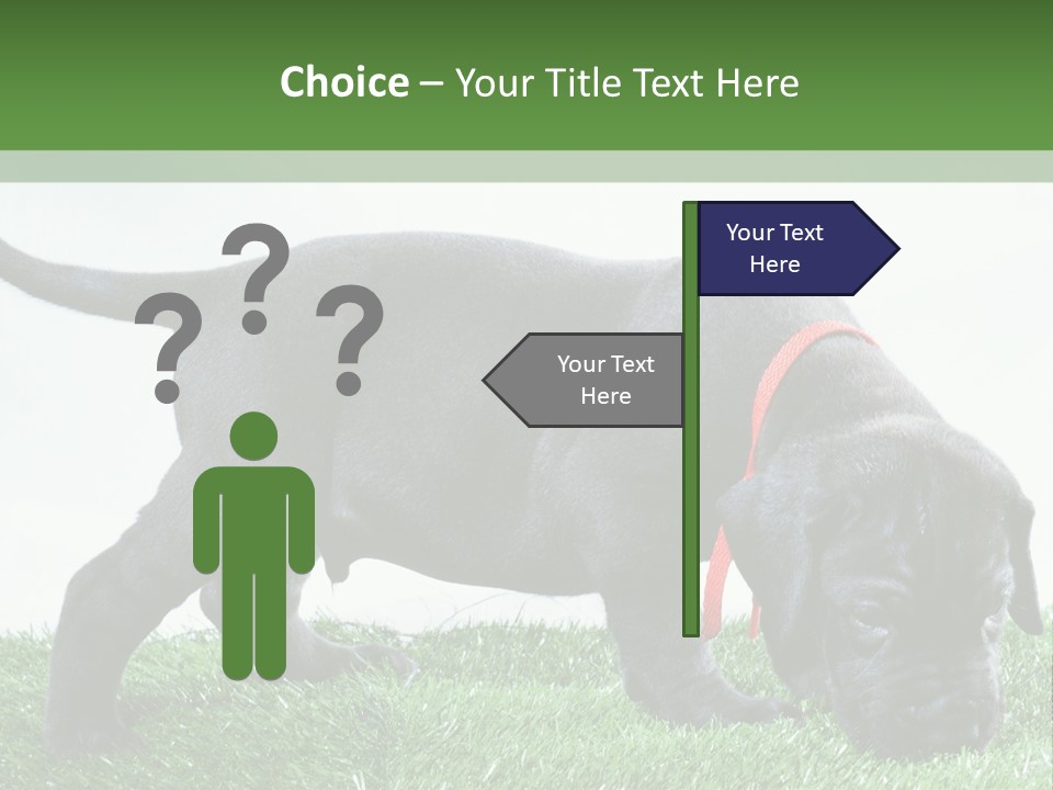 A Black Dog With A Red Collar Is Sniffing The Grass PowerPoint Template