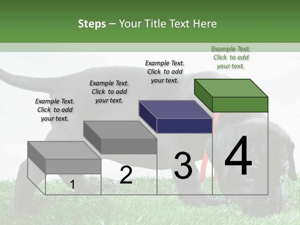 A Black Dog With A Red Collar Is Sniffing The Grass PowerPoint Template
