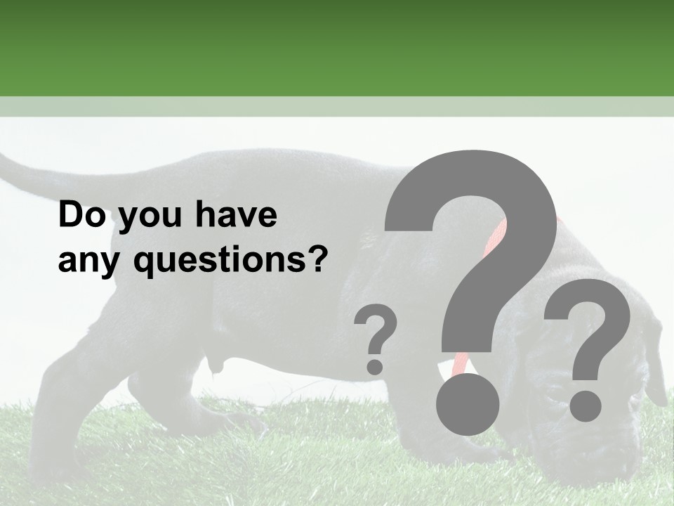 A Black Dog With A Red Collar Is Sniffing The Grass PowerPoint Template