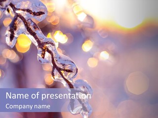 A Branch With Ice On It Is Shown In This Powerpoint Presentation PowerPoint Template