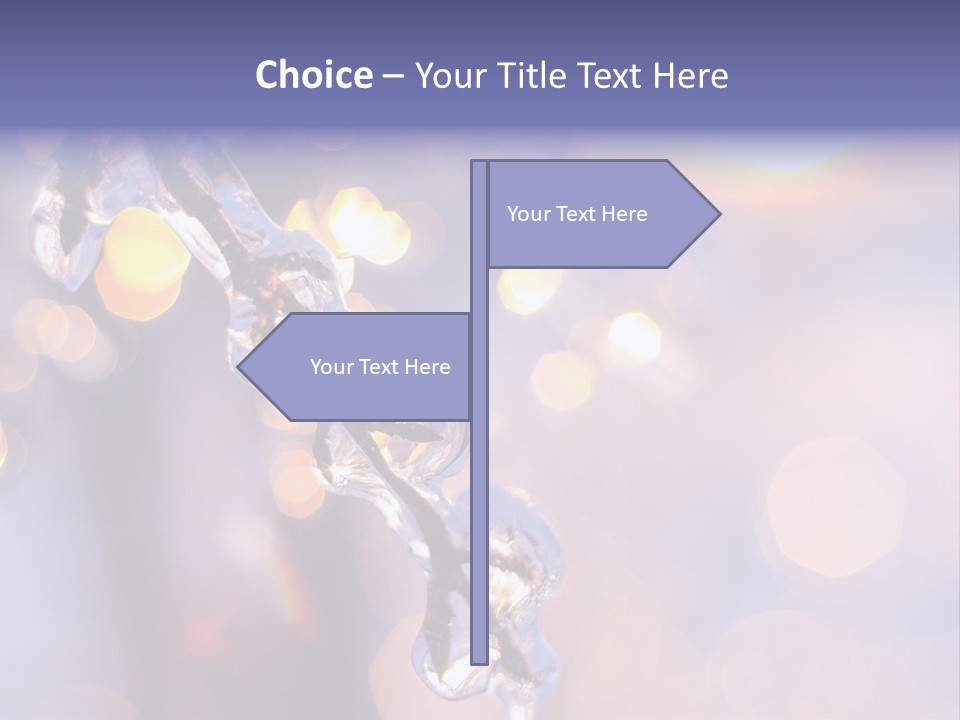 A Branch With Ice On It Is Shown In This Powerpoint Presentation PowerPoint Template