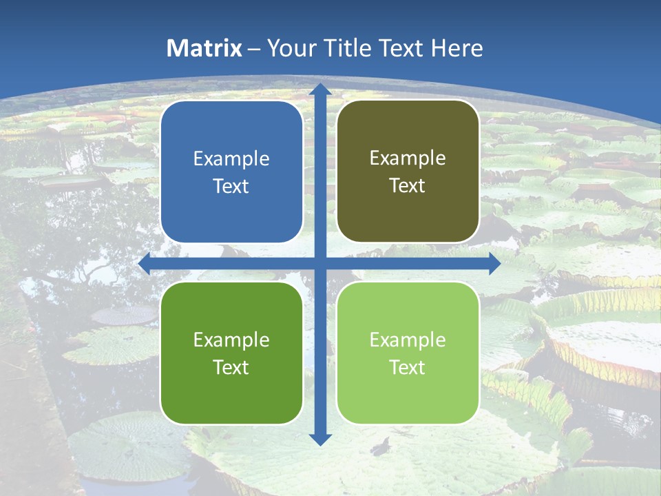 A Large Pond Filled With Water Lilies In The Middle Of A Forest PowerPoint Template