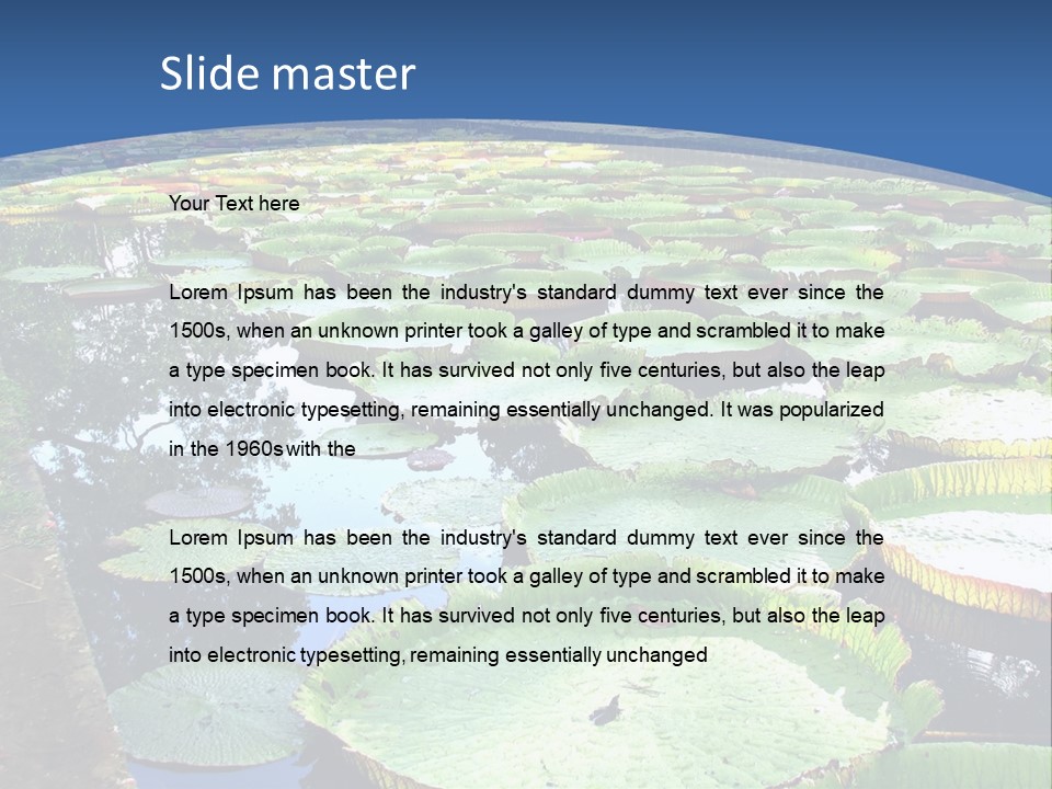 A Large Pond Filled With Water Lilies In The Middle Of A Forest PowerPoint Template