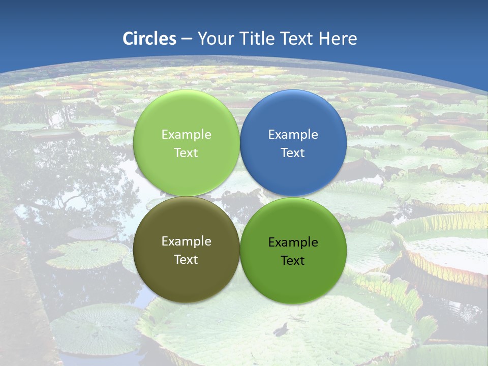 A Large Pond Filled With Water Lilies In The Middle Of A Forest PowerPoint Template