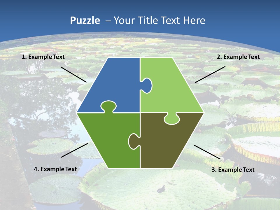 A Large Pond Filled With Water Lilies In The Middle Of A Forest PowerPoint Template