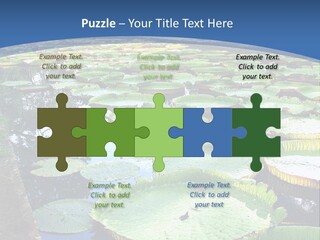 A Large Pond Filled With Water Lilies In The Middle Of A Forest PowerPoint Template