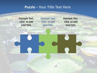 A Large Pond Filled With Water Lilies In The Middle Of A Forest PowerPoint Template