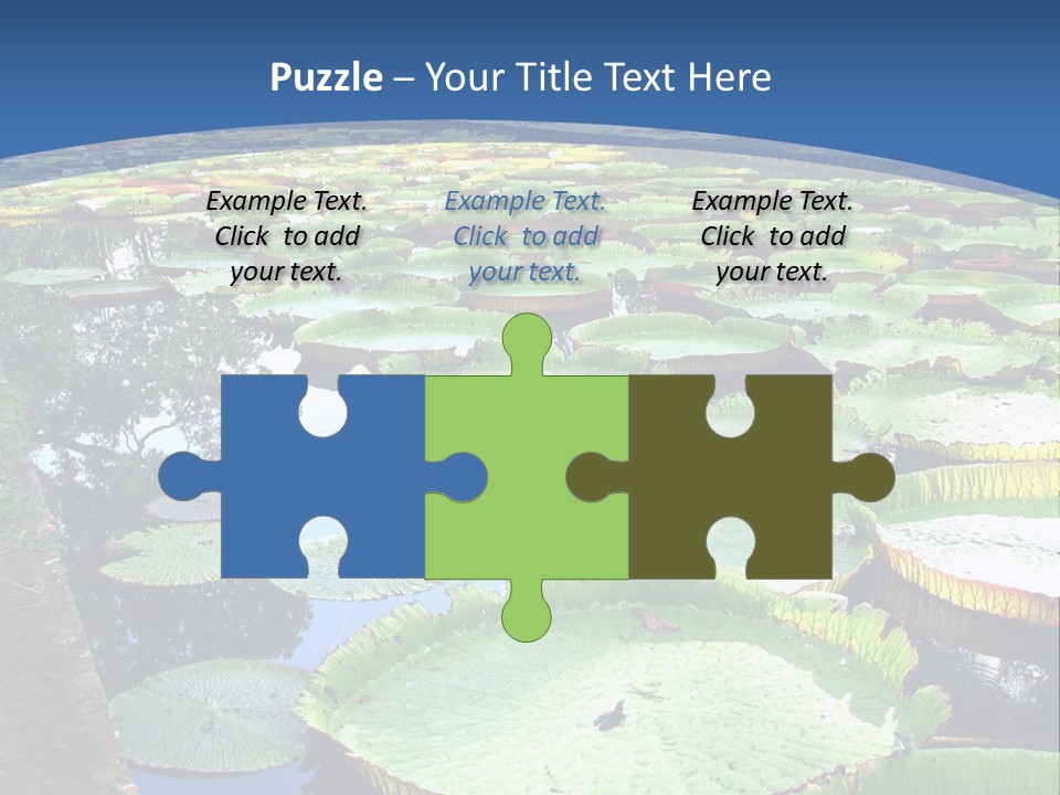 A Large Pond Filled With Water Lilies In The Middle Of A Forest PowerPoint Template