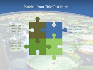 A Large Pond Filled With Water Lilies In The Middle Of A Forest PowerPoint Template