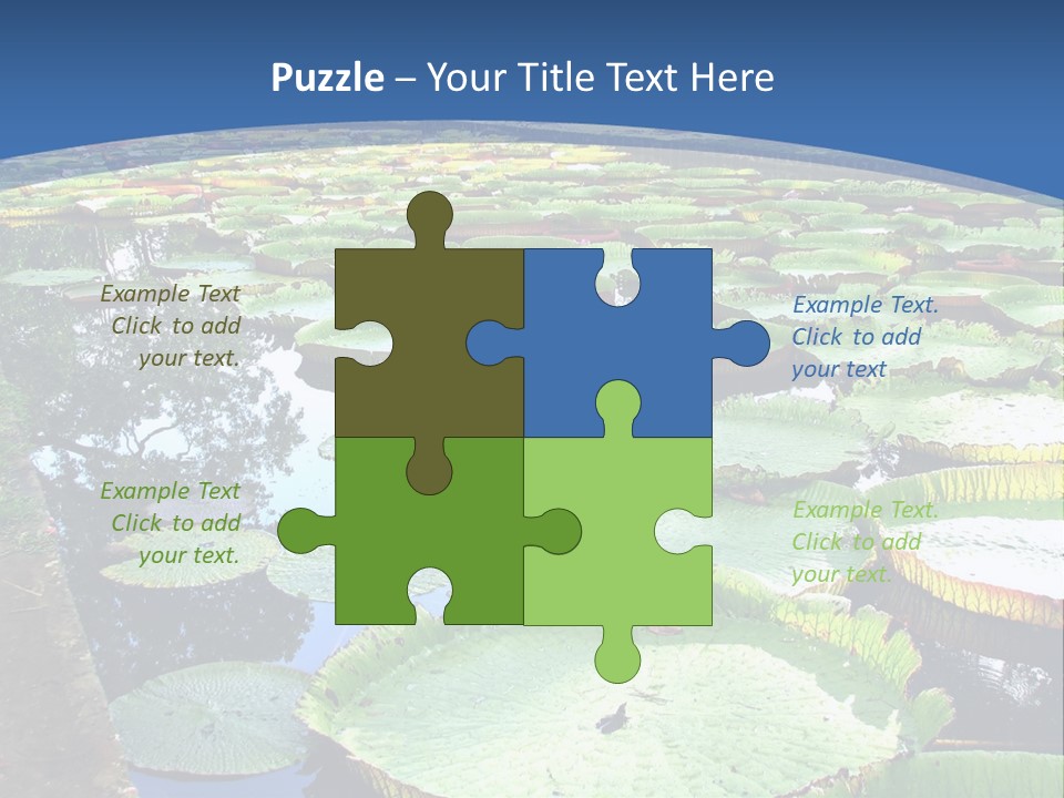 A Large Pond Filled With Water Lilies In The Middle Of A Forest PowerPoint Template