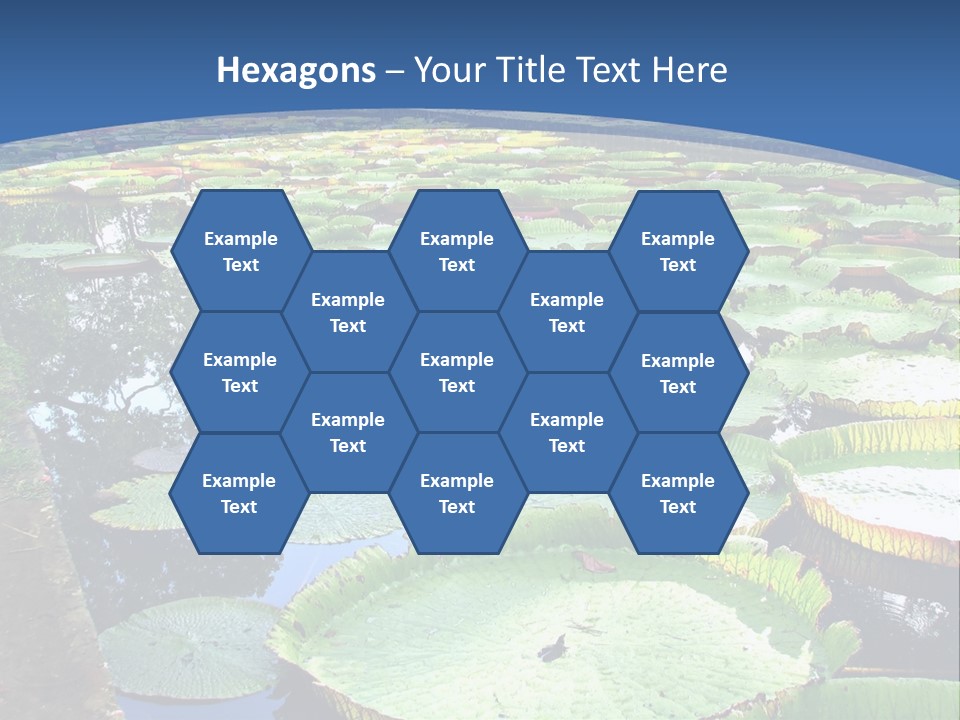 A Large Pond Filled With Water Lilies In The Middle Of A Forest PowerPoint Template