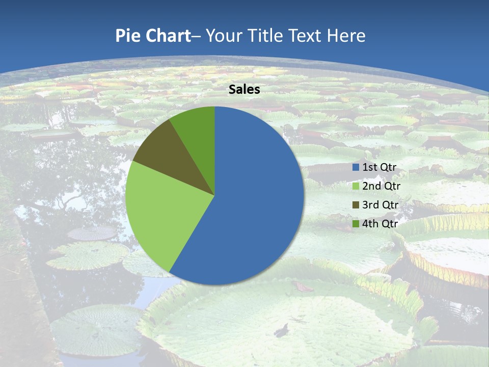 A Large Pond Filled With Water Lilies In The Middle Of A Forest PowerPoint Template