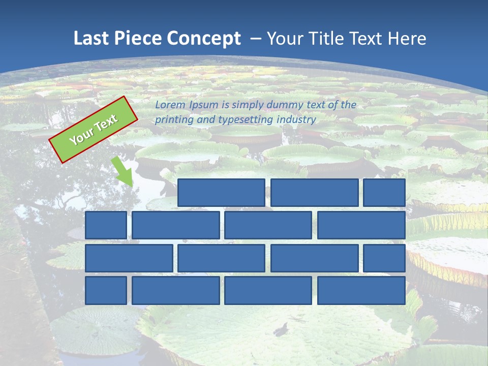 A Large Pond Filled With Water Lilies In The Middle Of A Forest PowerPoint Template