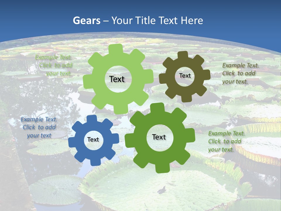 A Large Pond Filled With Water Lilies In The Middle Of A Forest PowerPoint Template