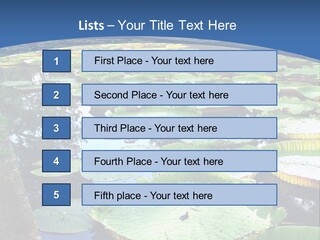 A Large Pond Filled With Water Lilies In The Middle Of A Forest PowerPoint Template