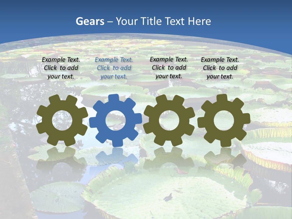 A Large Pond Filled With Water Lilies In The Middle Of A Forest PowerPoint Template