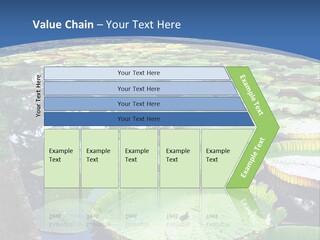A Large Pond Filled With Water Lilies In The Middle Of A Forest PowerPoint Template
