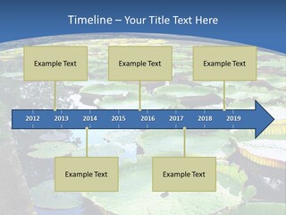 A Large Pond Filled With Water Lilies In The Middle Of A Forest PowerPoint Template