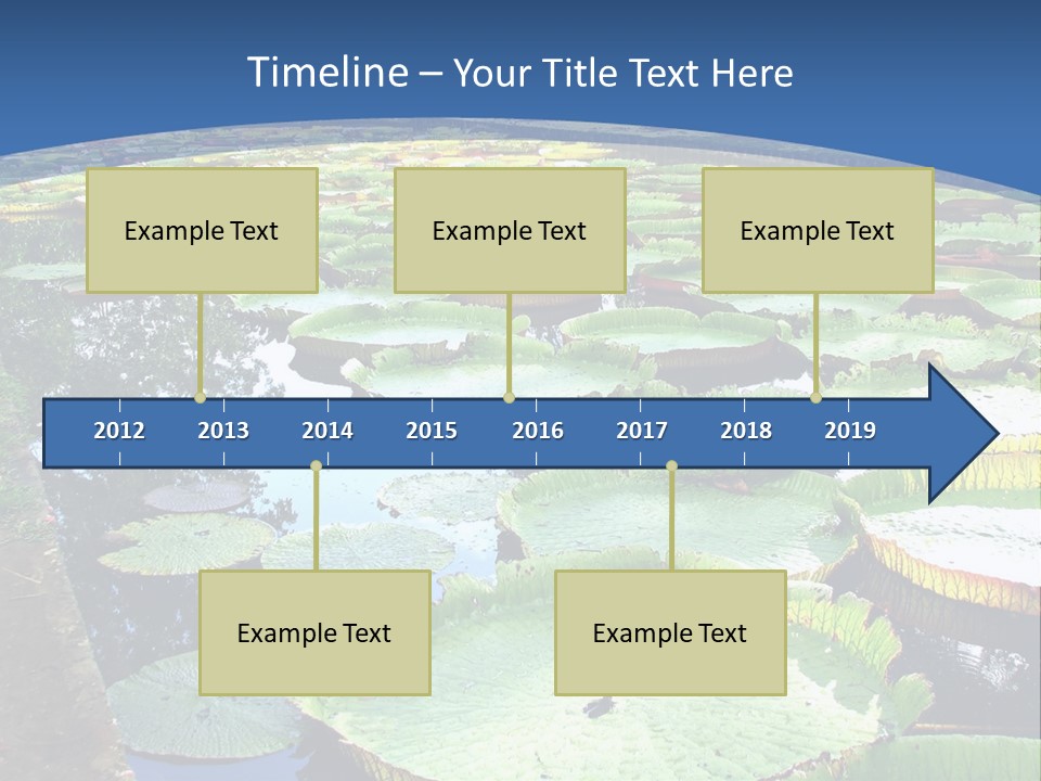 A Large Pond Filled With Water Lilies In The Middle Of A Forest PowerPoint Template