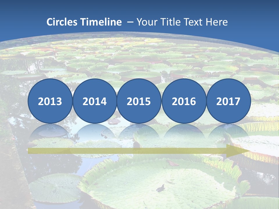 A Large Pond Filled With Water Lilies In The Middle Of A Forest PowerPoint Template