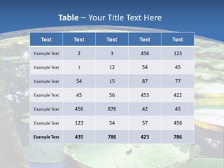 A Large Pond Filled With Water Lilies In The Middle Of A Forest PowerPoint Template