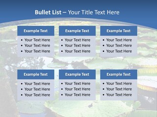 A Large Pond Filled With Water Lilies In The Middle Of A Forest PowerPoint Template