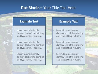 A Large Pond Filled With Water Lilies In The Middle Of A Forest PowerPoint Template