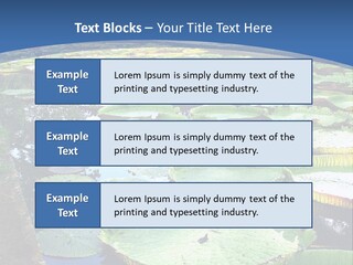 A Large Pond Filled With Water Lilies In The Middle Of A Forest PowerPoint Template