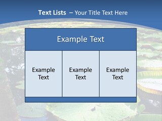 A Large Pond Filled With Water Lilies In The Middle Of A Forest PowerPoint Template