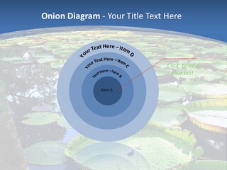 A Large Pond Filled With Water Lilies In The Middle Of A Forest PowerPoint Template