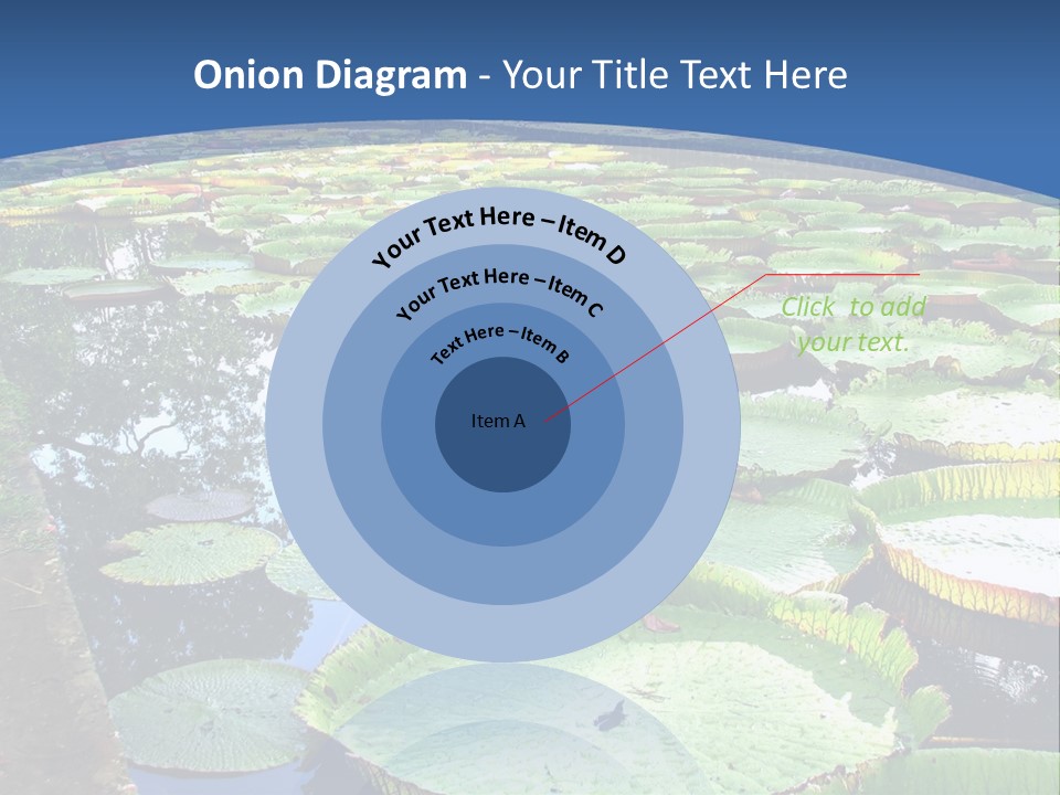 A Large Pond Filled With Water Lilies In The Middle Of A Forest PowerPoint Template