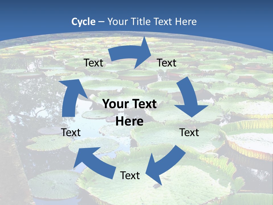 A Large Pond Filled With Water Lilies In The Middle Of A Forest PowerPoint Template