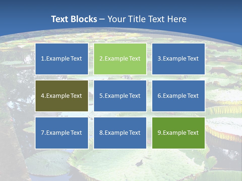 A Large Pond Filled With Water Lilies In The Middle Of A Forest PowerPoint Template