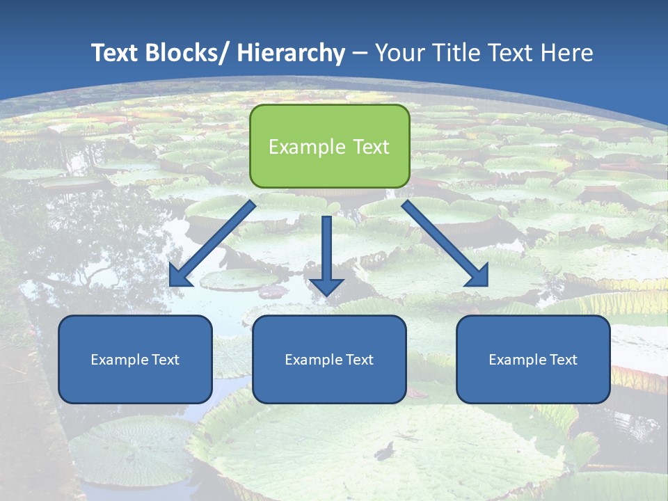 A Large Pond Filled With Water Lilies In The Middle Of A Forest PowerPoint Template