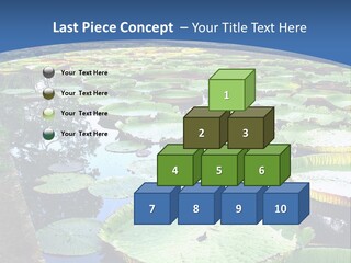 A Large Pond Filled With Water Lilies In The Middle Of A Forest PowerPoint Template