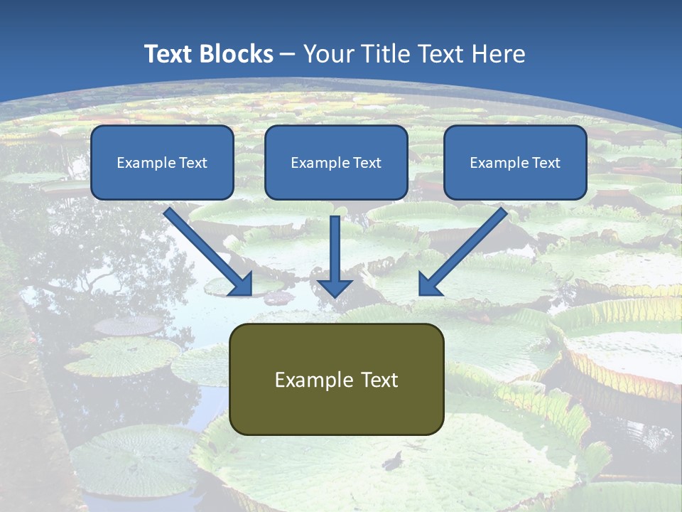 A Large Pond Filled With Water Lilies In The Middle Of A Forest PowerPoint Template