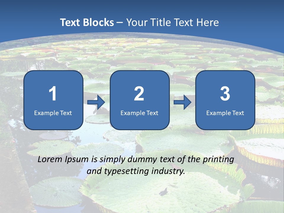 A Large Pond Filled With Water Lilies In The Middle Of A Forest PowerPoint Template