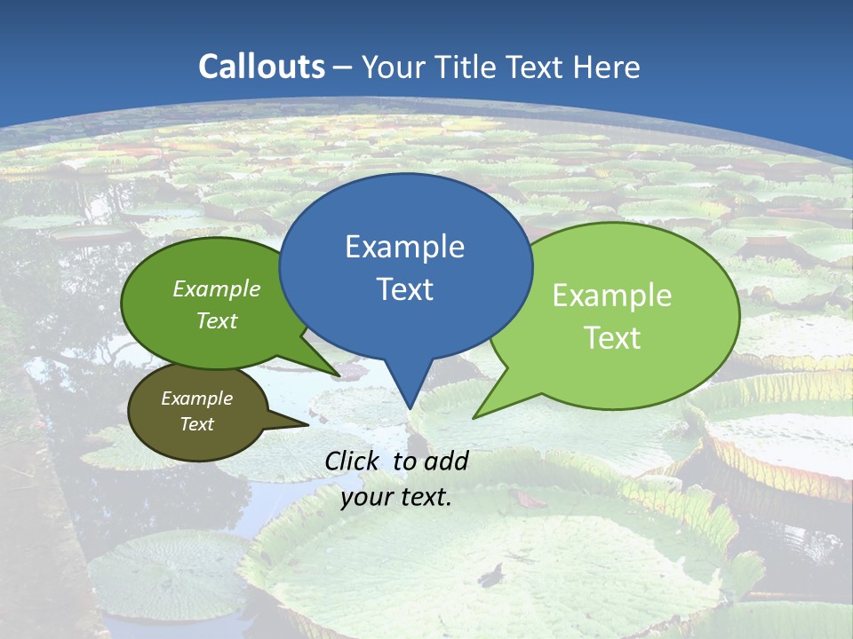 A Large Pond Filled With Water Lilies In The Middle Of A Forest PowerPoint Template
