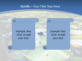 A Large Pond Filled With Water Lilies In The Middle Of A Forest PowerPoint Template