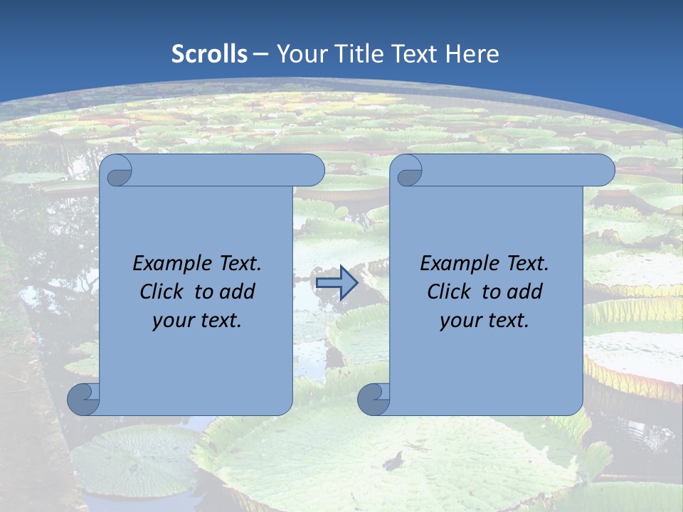 A Large Pond Filled With Water Lilies In The Middle Of A Forest PowerPoint Template