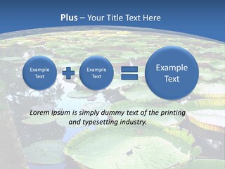 A Large Pond Filled With Water Lilies In The Middle Of A Forest PowerPoint Template